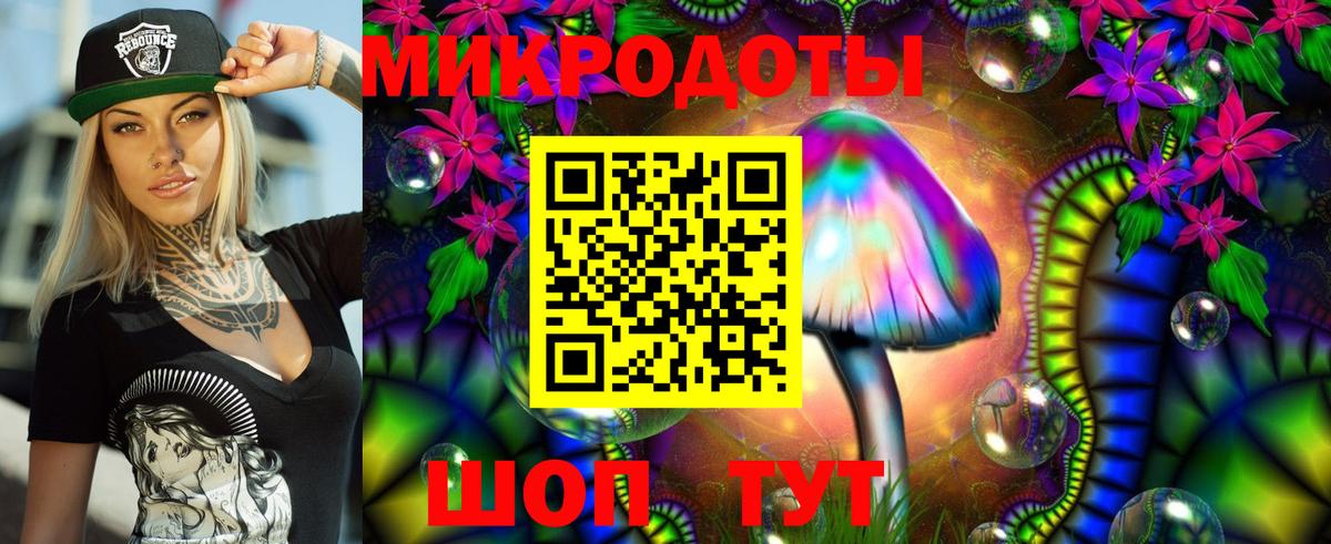 Галлюциногенные грибы Psilocybe Пенза