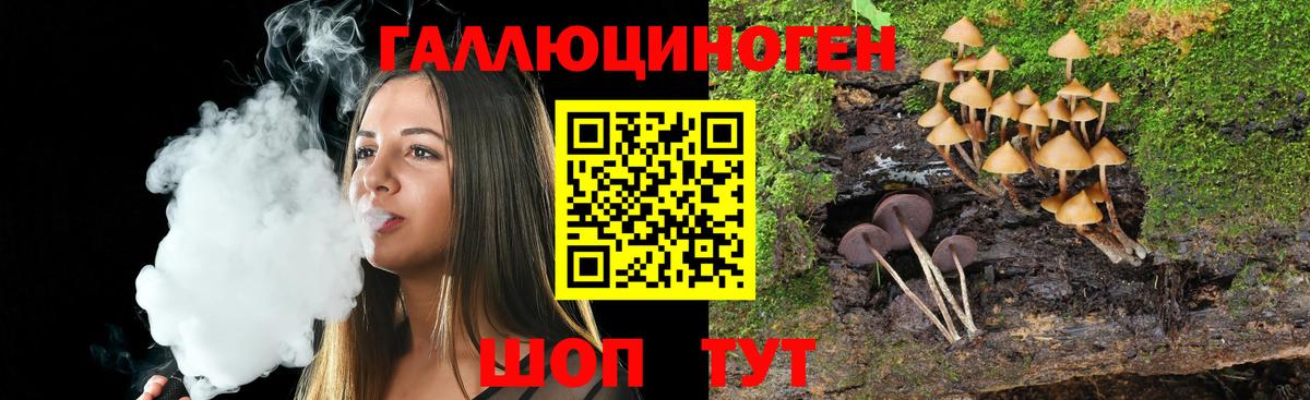 Пенза  Галлюциногенные грибы Magic Shrooms  Вход с VPN 